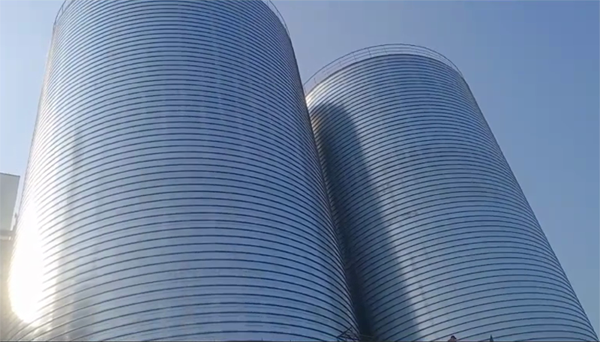 毛阳镇2座混凝土高架卷板仓